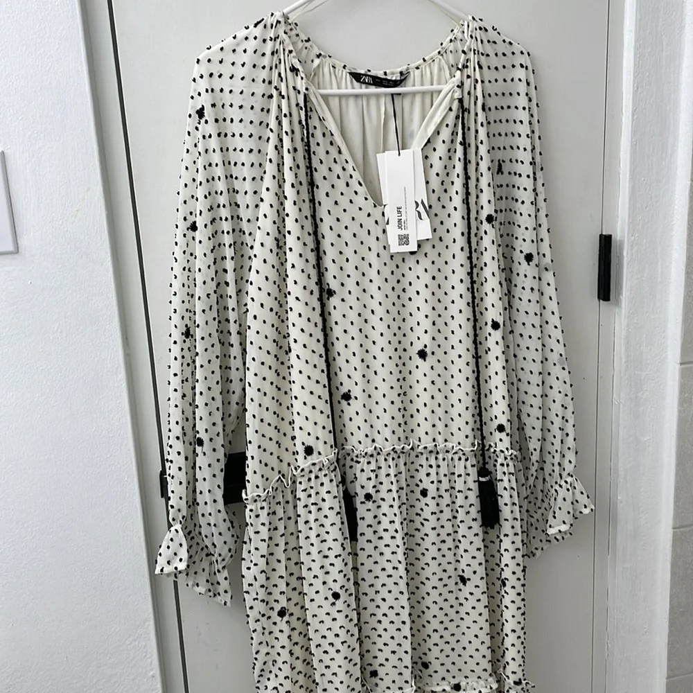 Zara Dotted Mesh Oversized Maxi Dress Size Large L NWT Polka Dots Swiss Dots - Picture 2 of 9